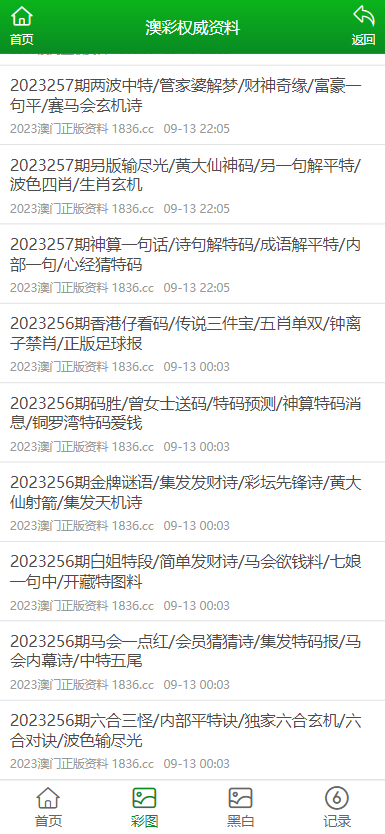 2024澳门正版资料大全,澳门正版资料大全与犯罪行为的界限