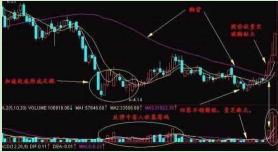 精准一肖100%准确精准的含义,精准一肖，揭秘百分之百准确预测的含义与真相