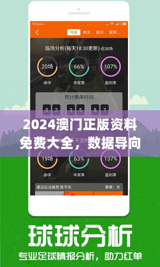 2024年新澳门王中王免费,探索新澳门王中王免费体验——2024年的全新展望