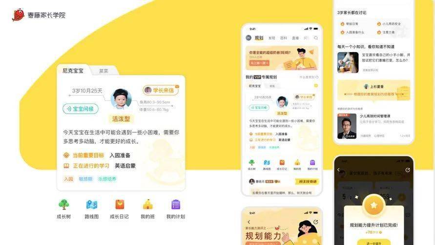 2024新奥门管家婆资料查询,新奥门管家婆资料查询——探索未来的奥秘（2024年展望）