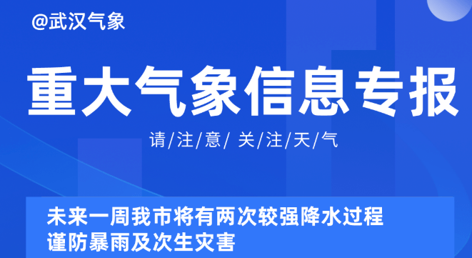 2024新奥资料免费精准061,探索未来，2024新奥资料免费精准获取秘籍（附详细指南）