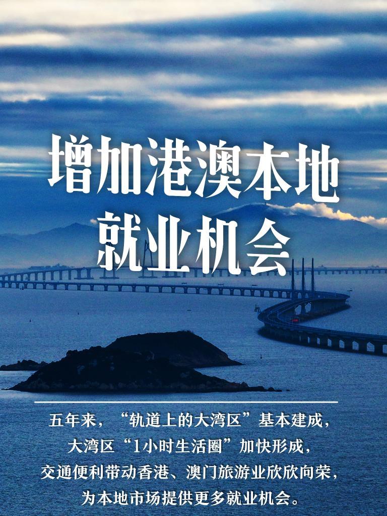 2025年新澳门免费资料大全,探索澳门未来，2025年新澳门免费资料大全