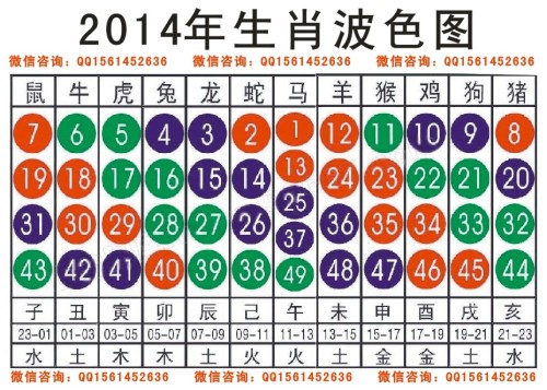 2025十二生肖49码表,揭秘十二生肖与数字彩票的奇妙结合，2025年十二生肖49码表解读